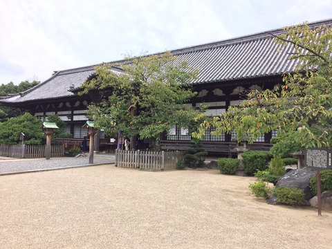 誉田八幡宮2