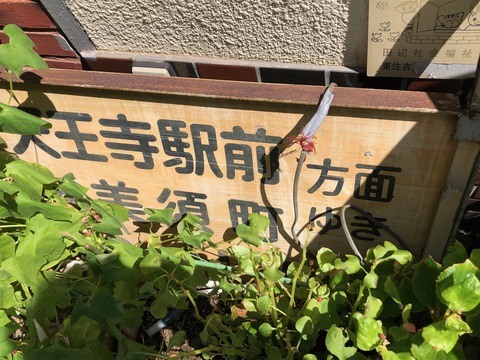 平野線　田辺駅標