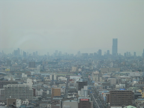 堺市市役所の風景