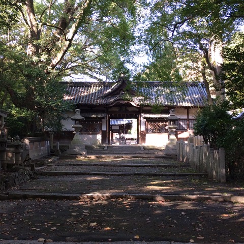 伊居太神社1
