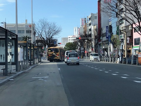 堺市役所横の道